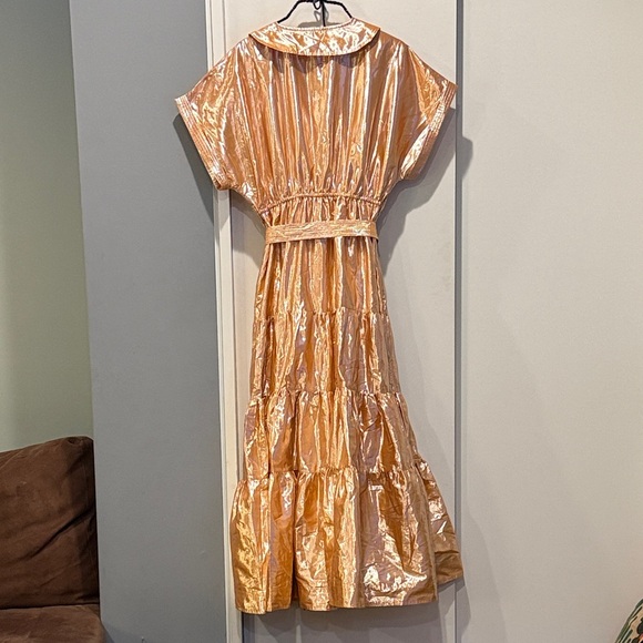 Metallic Maxi Dress - Picture 4 of 5